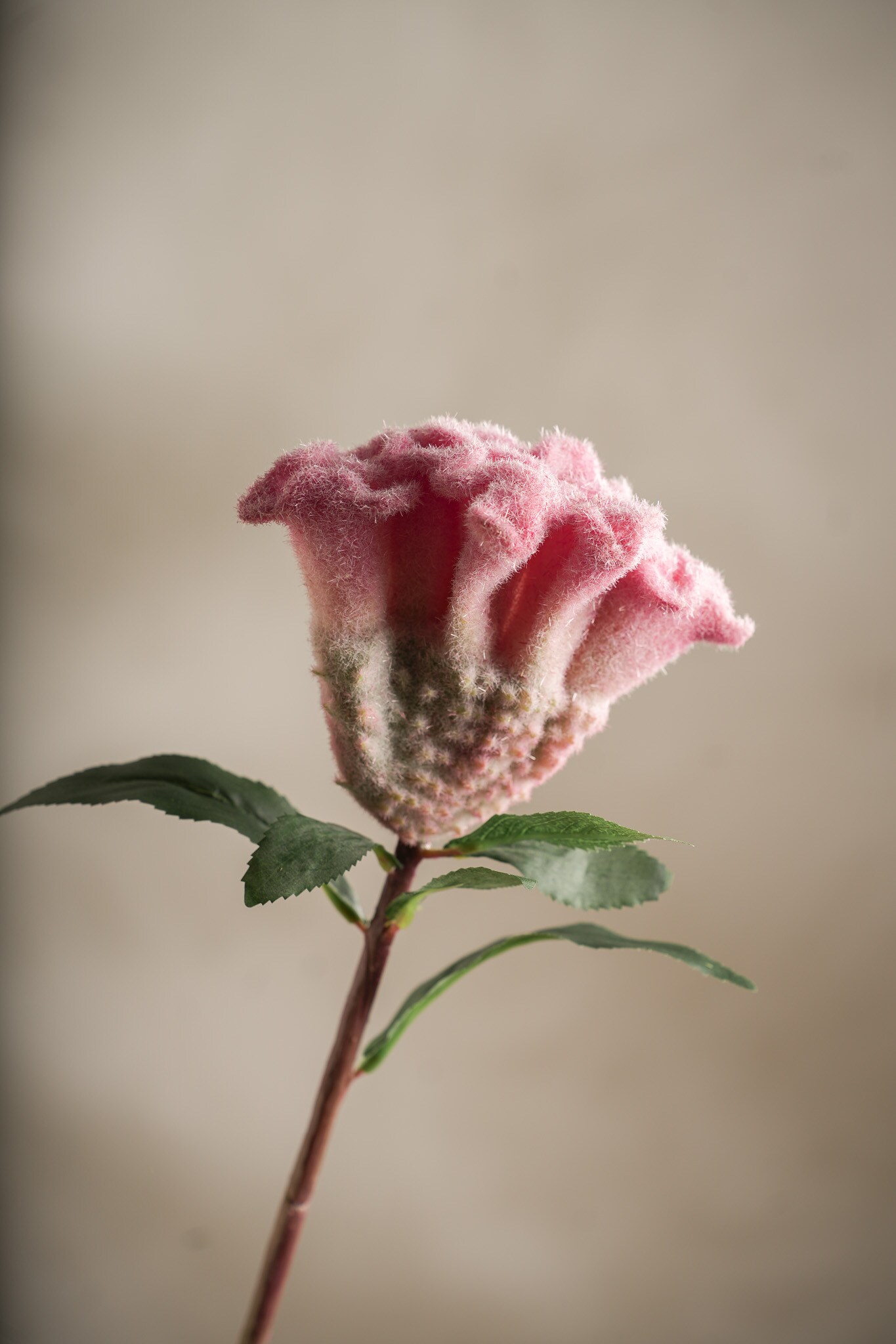 Konstgjord rosa Celosia 67cm