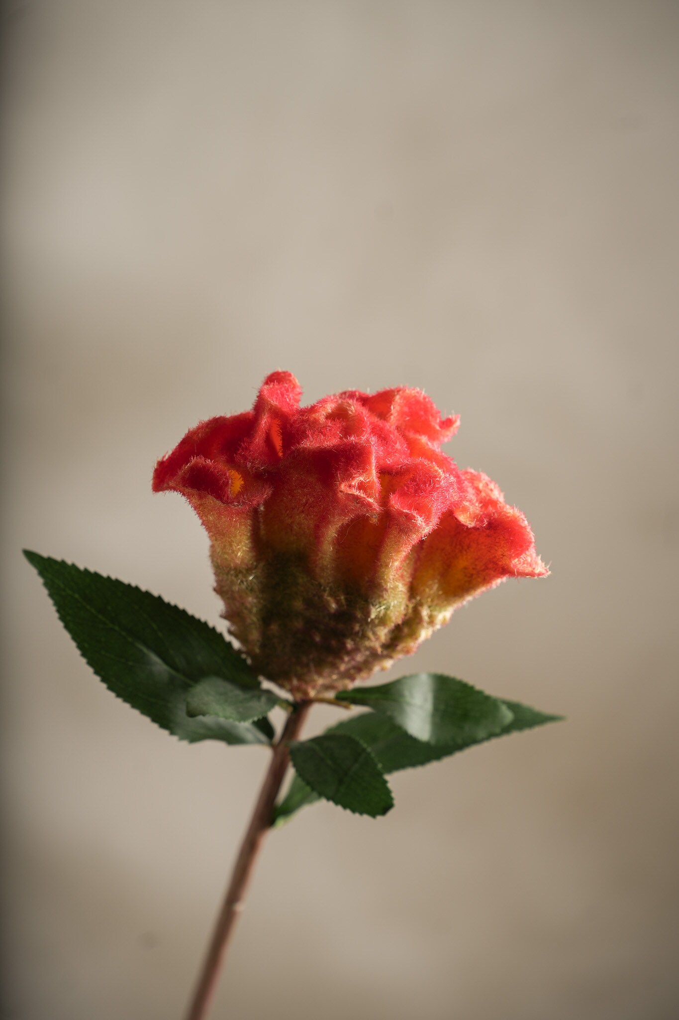 Konstgjord orange Celosia 67cm