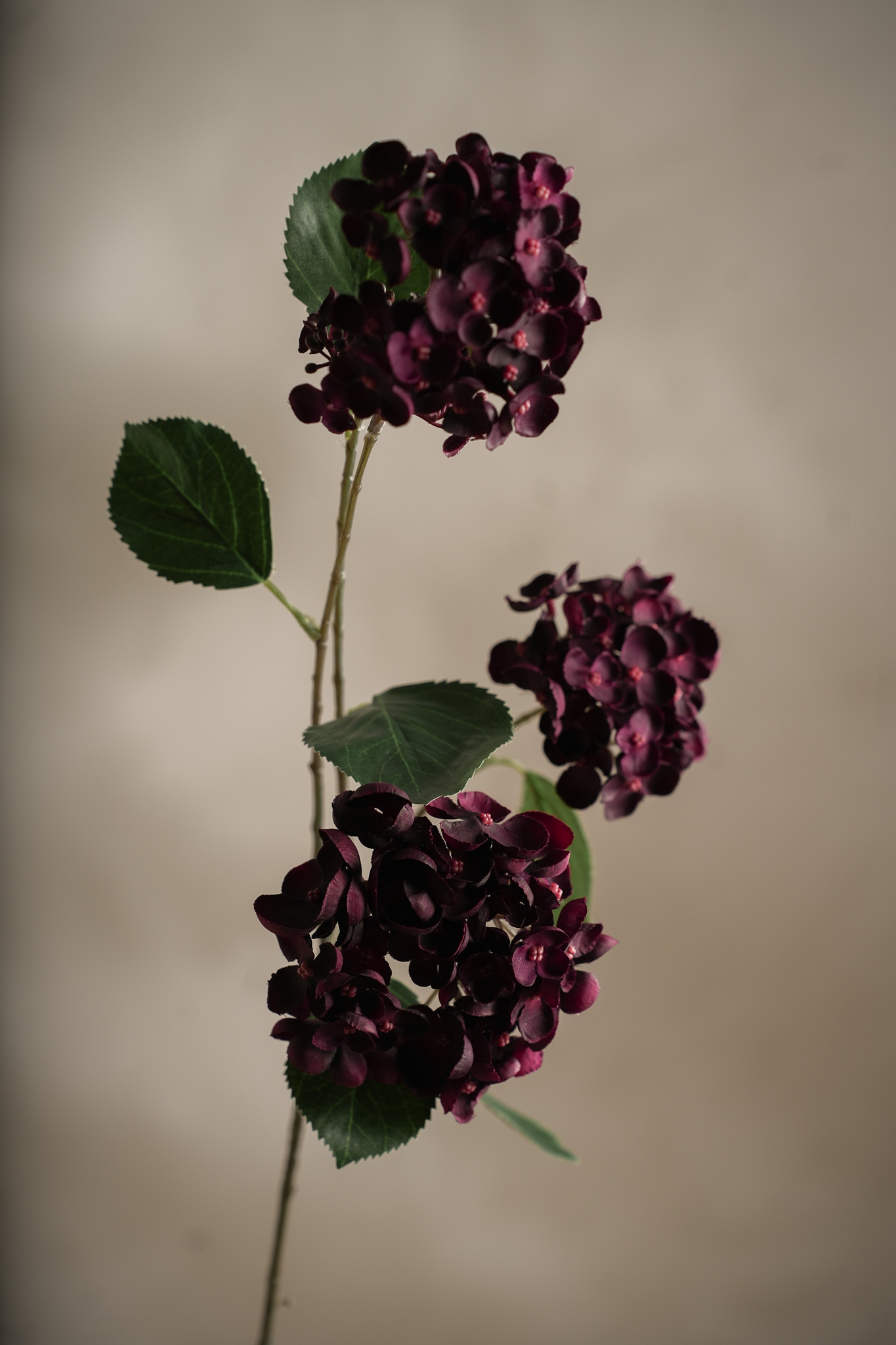 Konstgjord burgundy Hortensia 80cm
