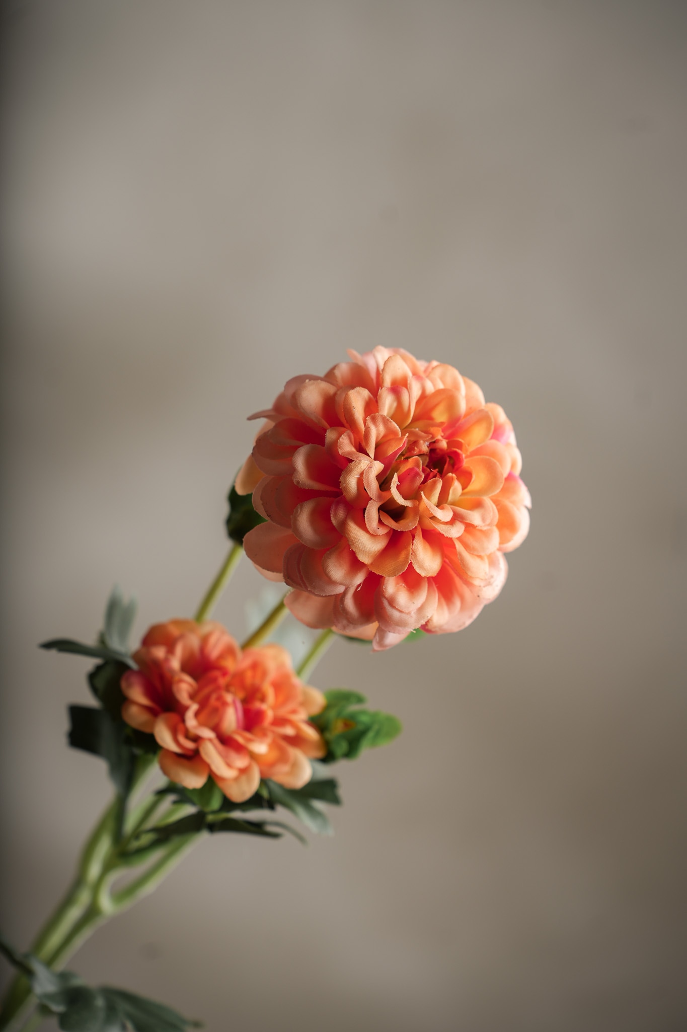Konstgjord korall Chrysanthemum 52cm