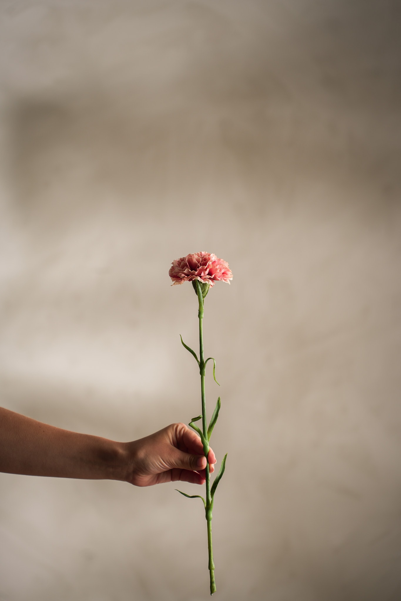 Konstgjord rosa Nejlika 44cm