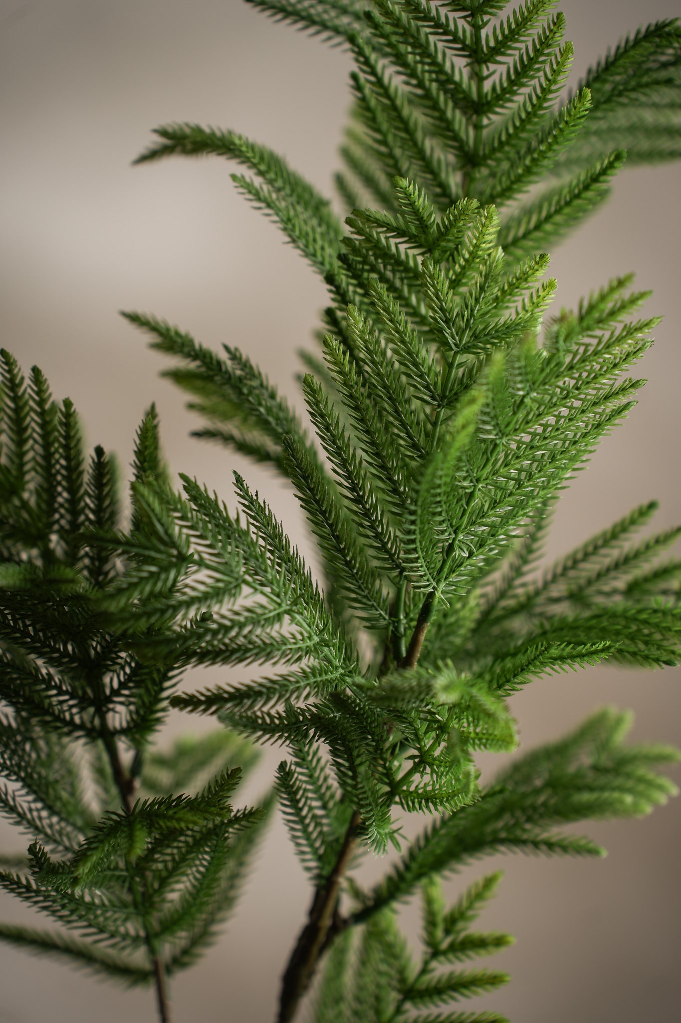 Konstgjord grön Mimosa 85cm