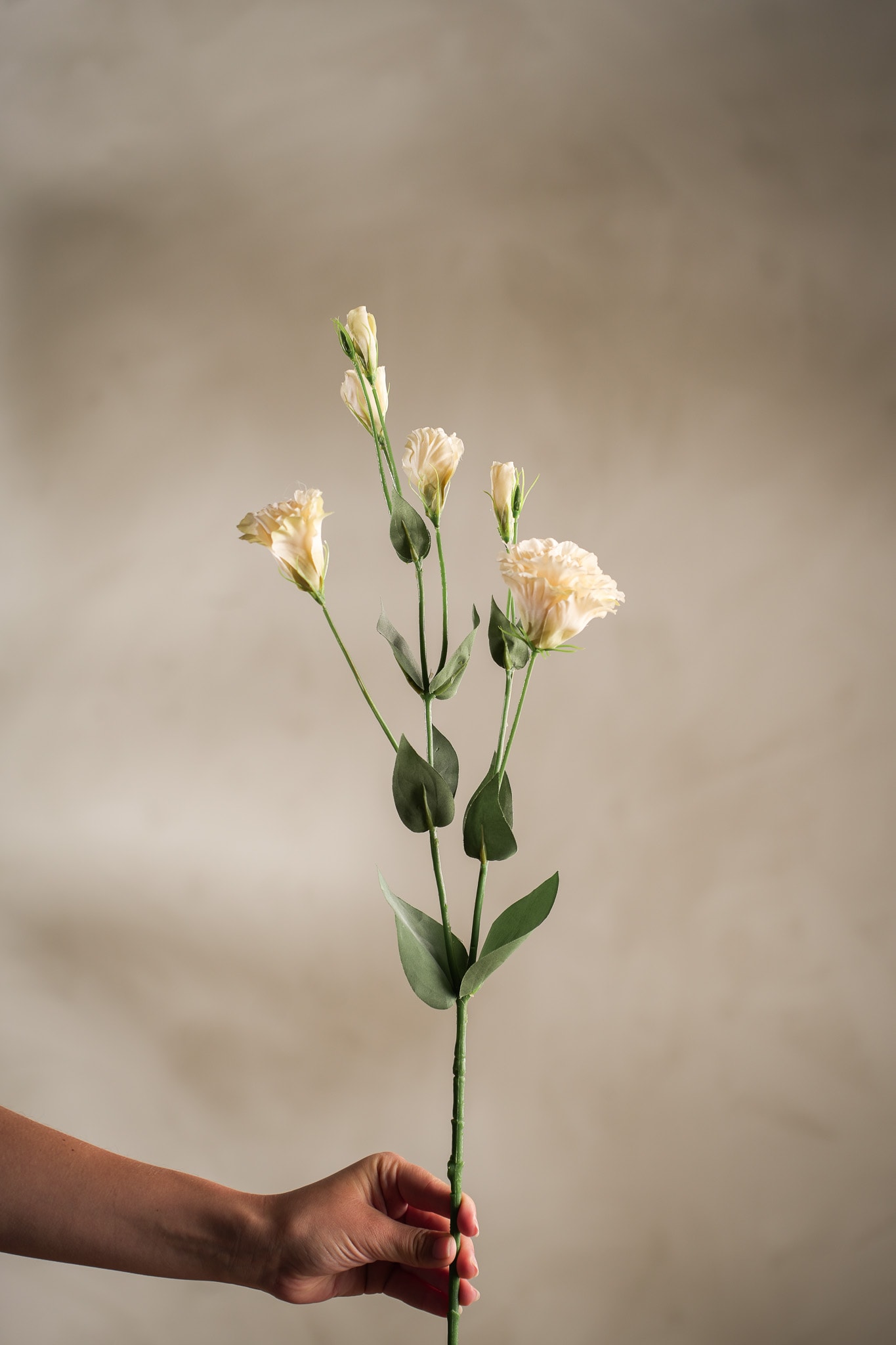 Konstgjord cream Prärieklocka 73cm