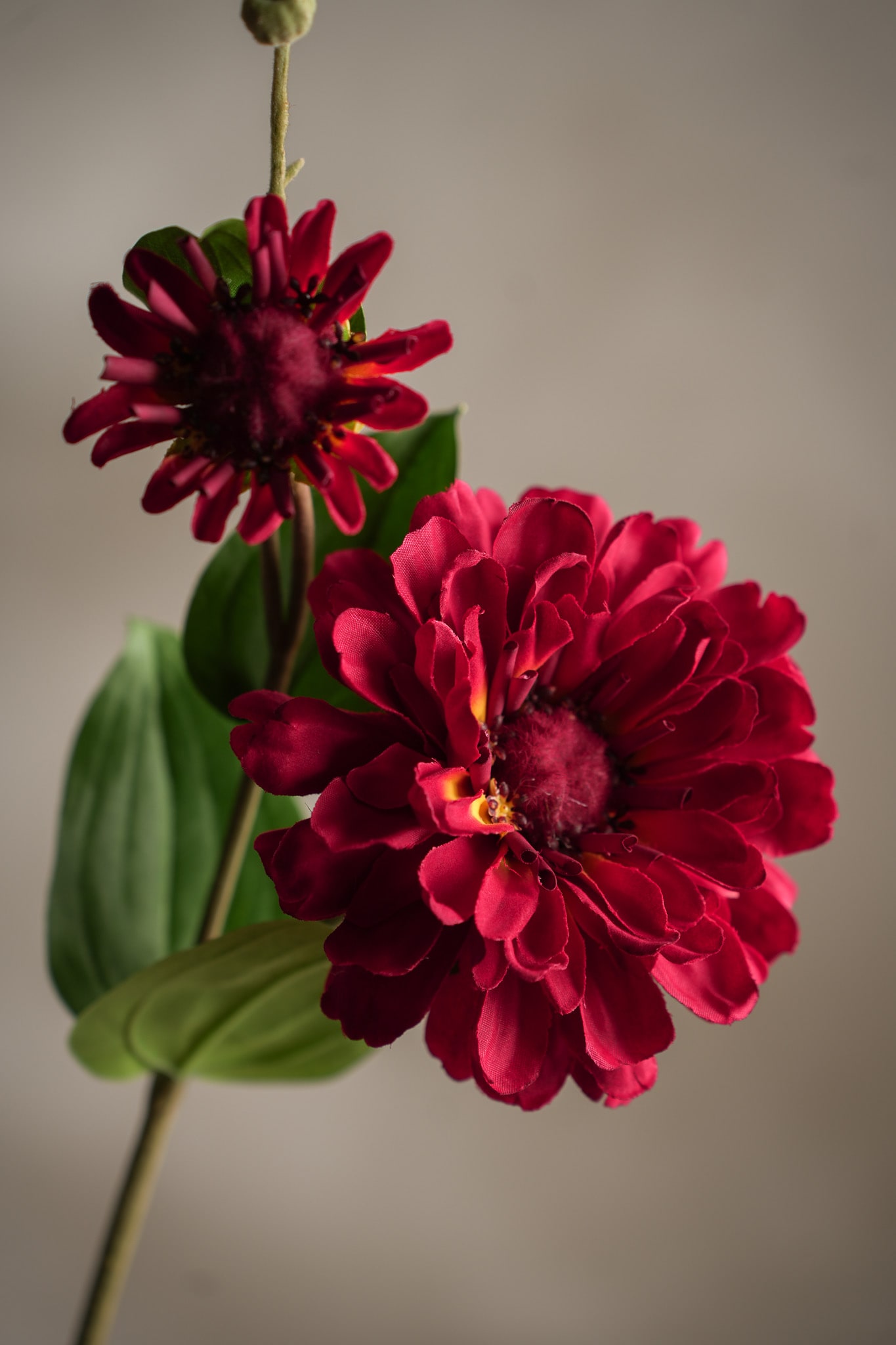 Konstgjord röd Zinnia 63cm