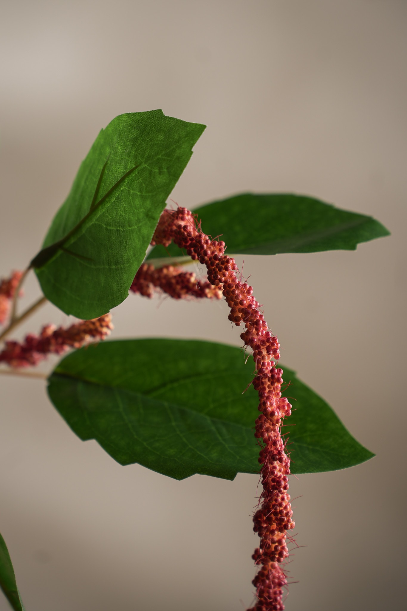 Konstgjord korall Amaranthus 70cm