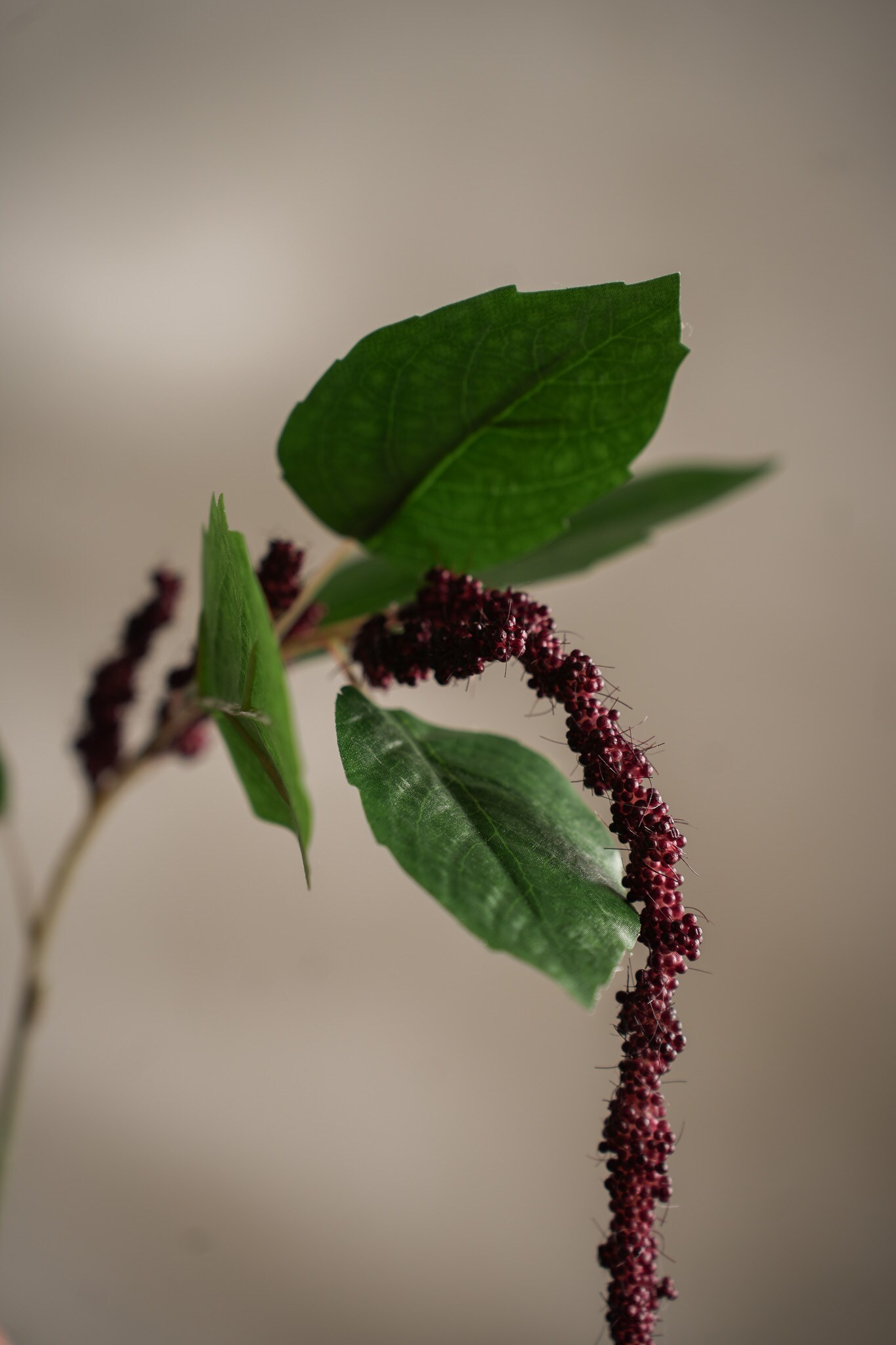 Konstgjord burgundy Amaranthus 70cm