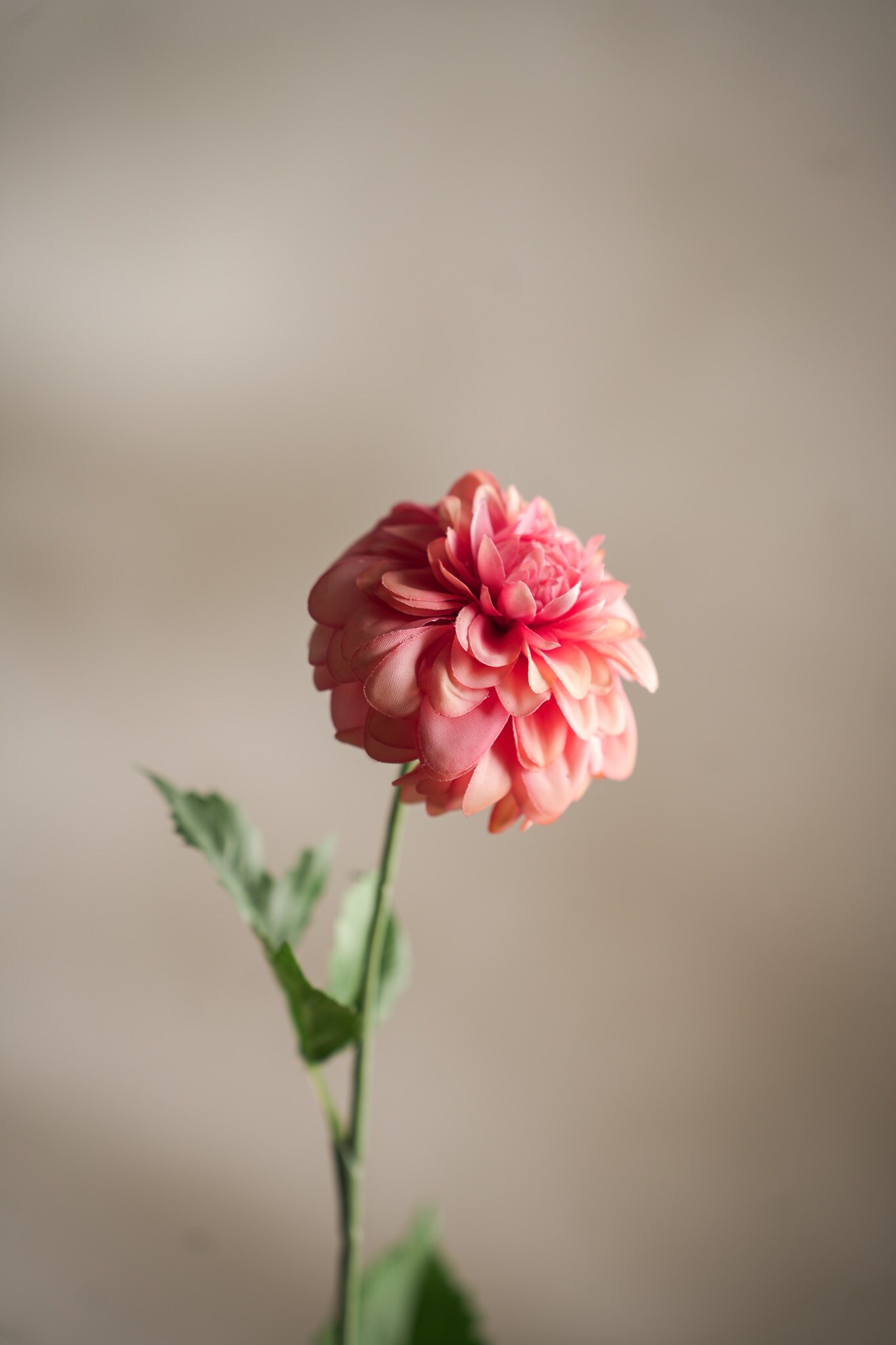 Konstgjord rosa Dahlia 60cm