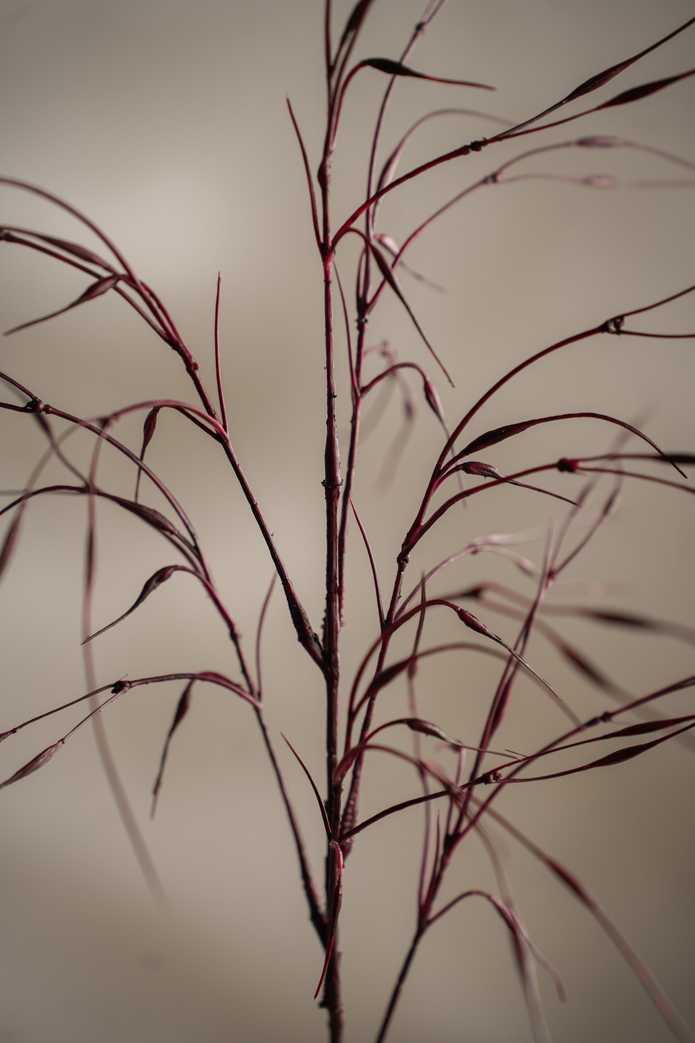 Konstgjord burgundy Gräs 80cm