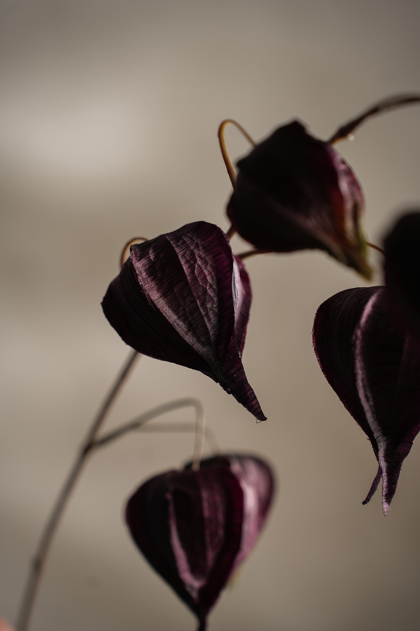 Konstgjord burgundy Physalis 95cm