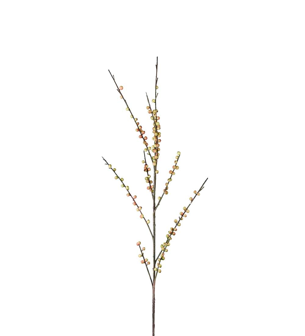 Bärkvist