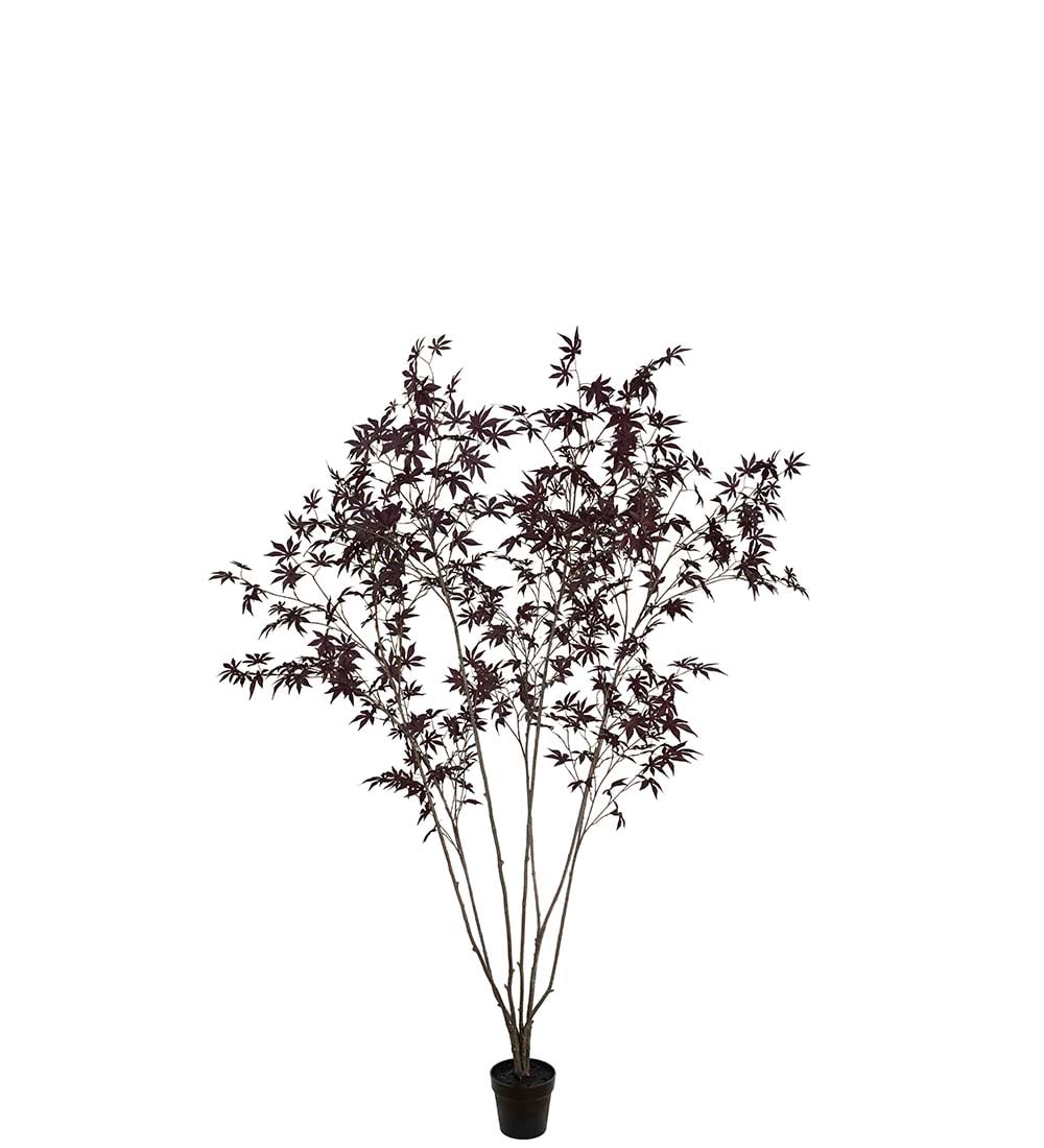 Konstgjord burgundy Japansk Lönn 240cm
