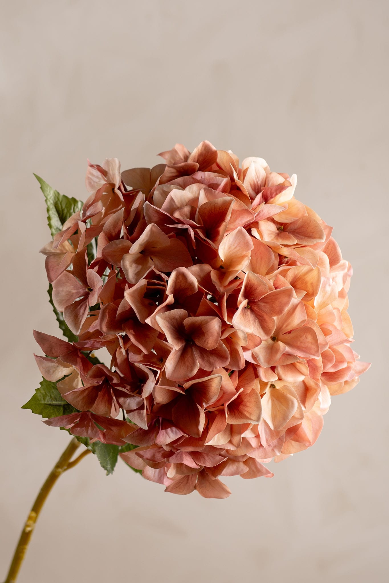 Konstgjord rosa Hortensia 110cm