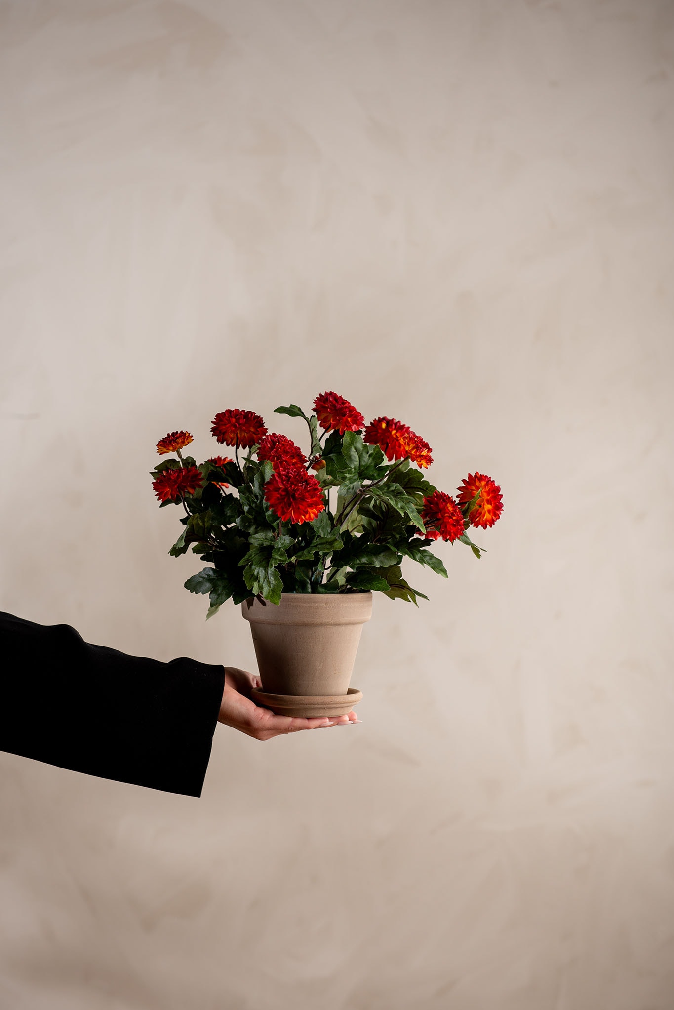 Konstgjord rost Chrysanthemum 30cm