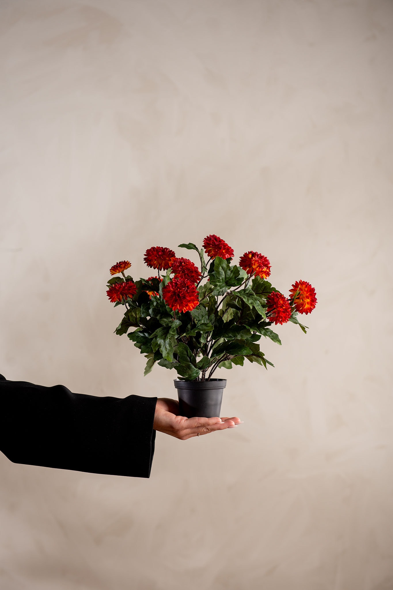 Konstgjord rost Chrysanthemum 30cm