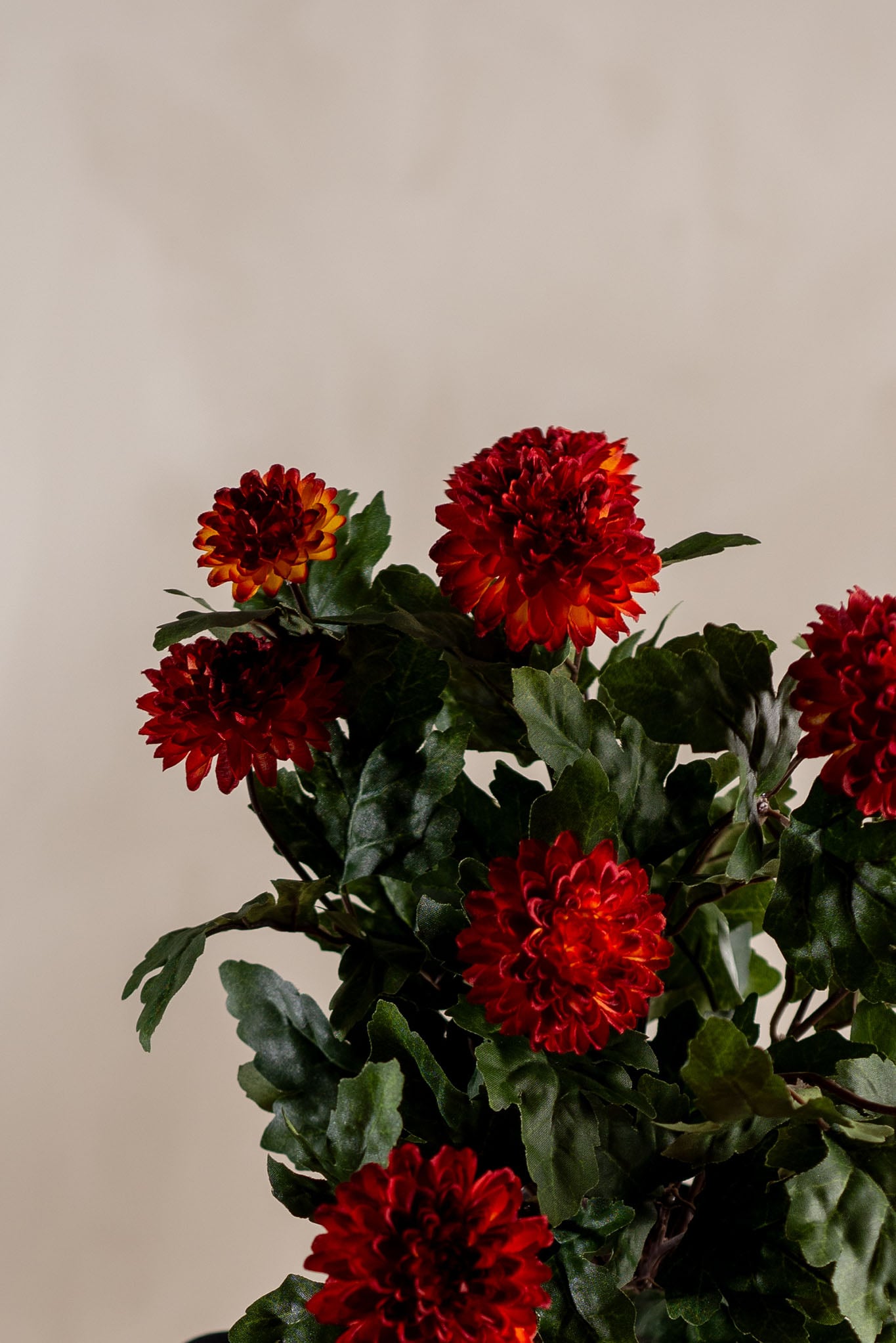 Konstgjord rost Chrysanthemum 30cm