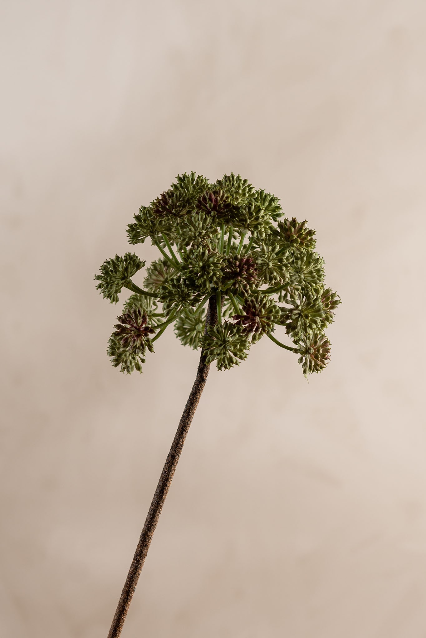 Konstgjord grön Angelica 95cm