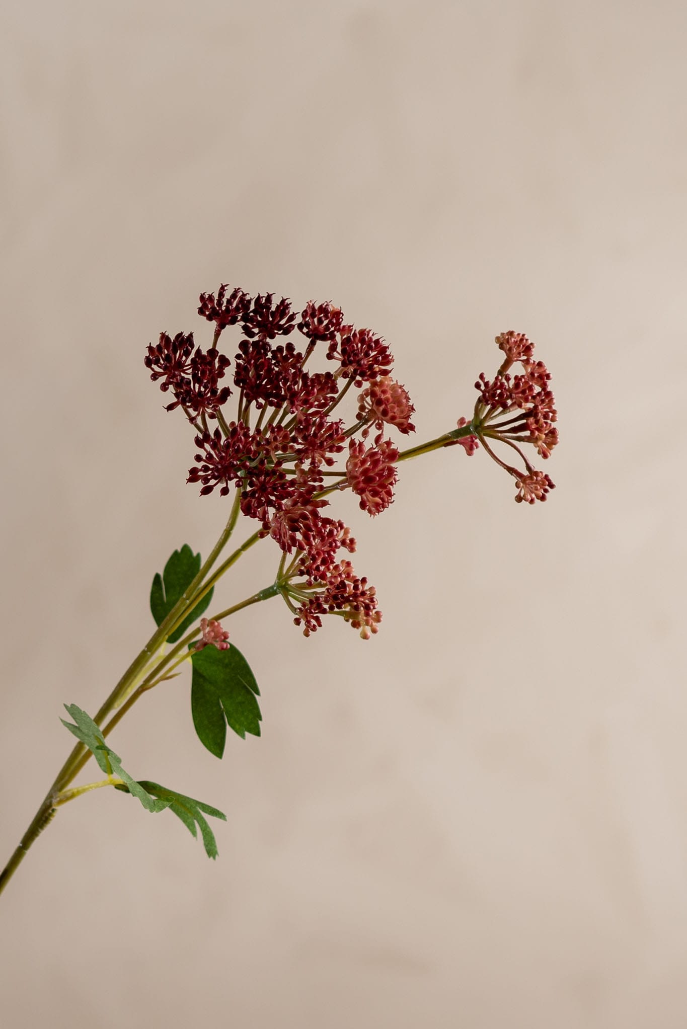 Konstgjord rosa Angelica 87cm