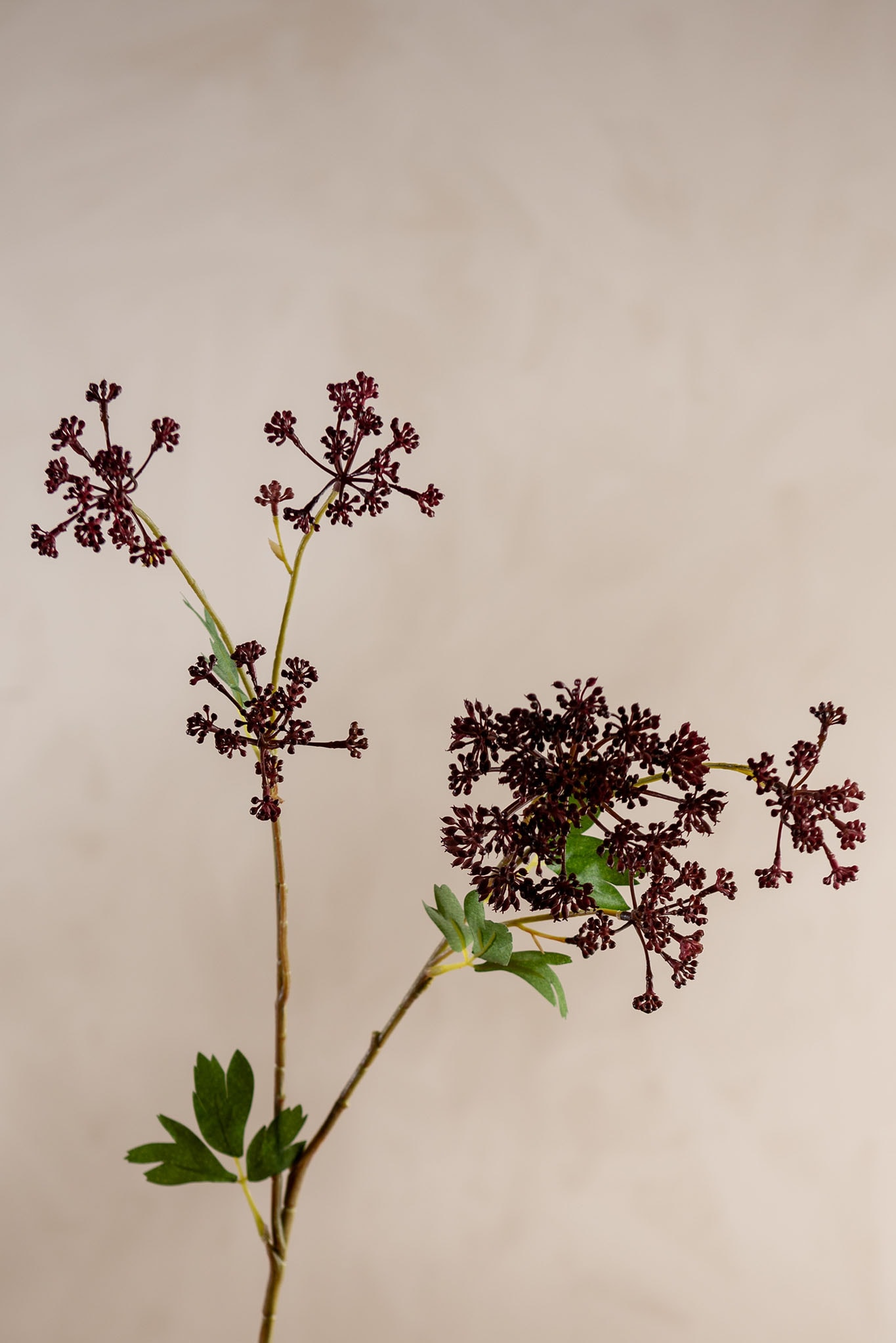 Konstgjord burgundy Angelica 87cm