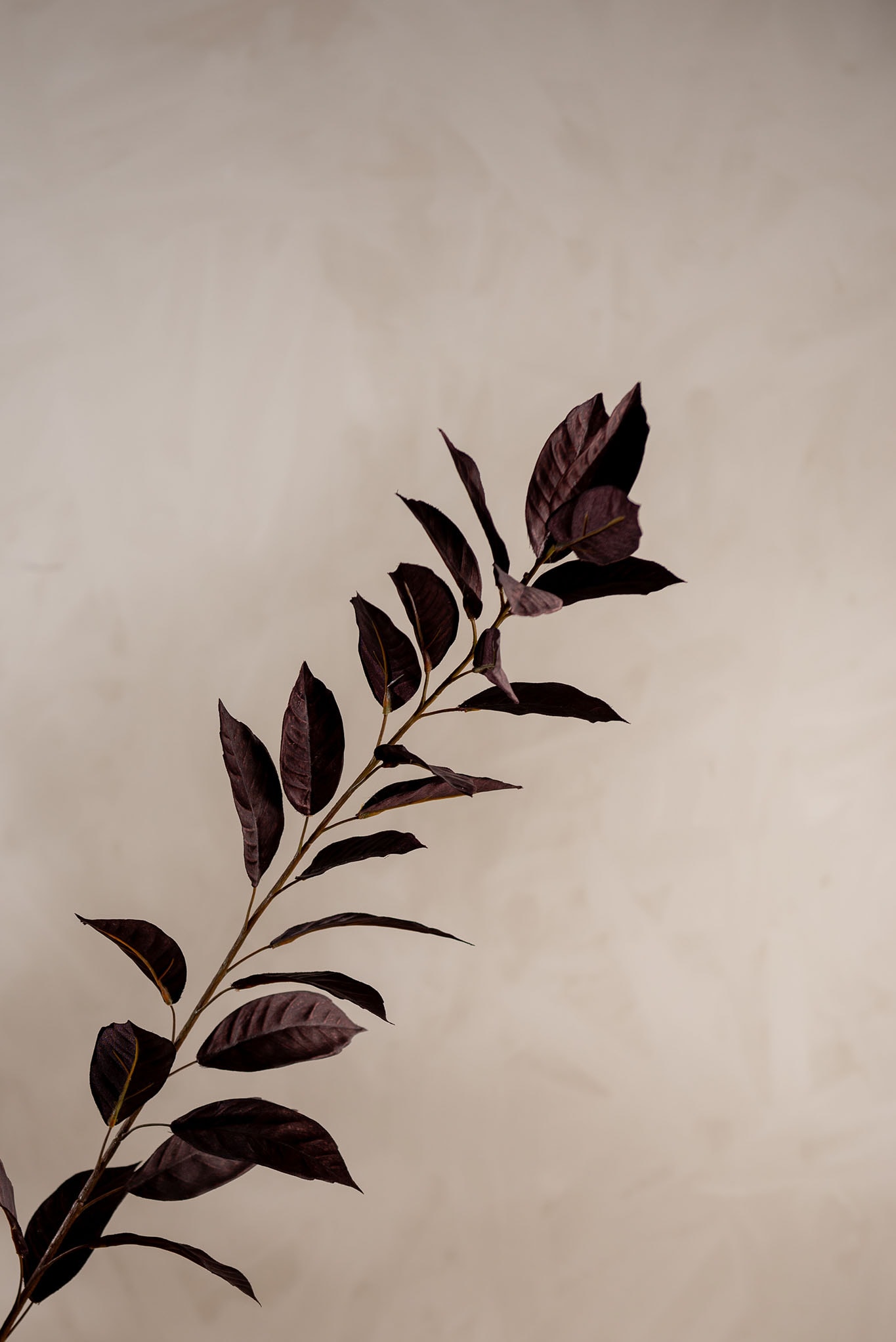 Konstgjord burgundy Blad 125cm