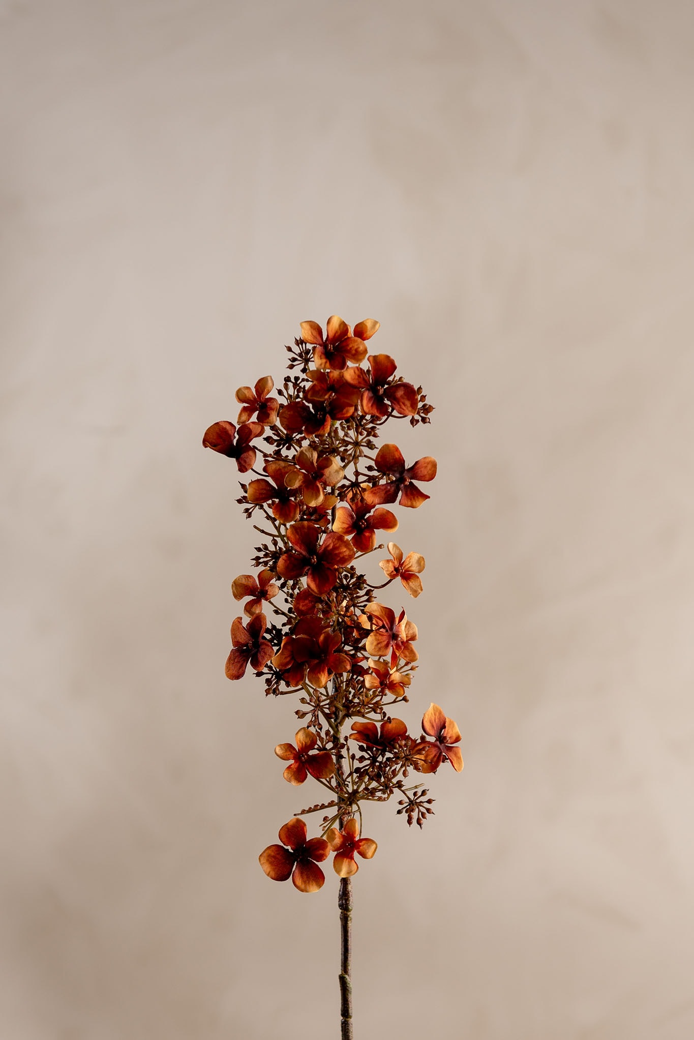 Konstgjord brun Hortensia 89cm