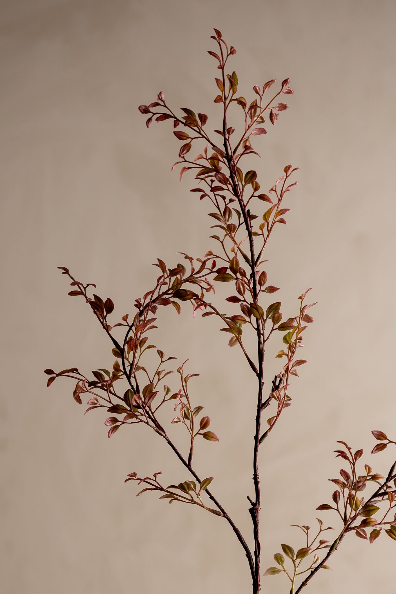 Konstgjord rosa Ruscus 100cm