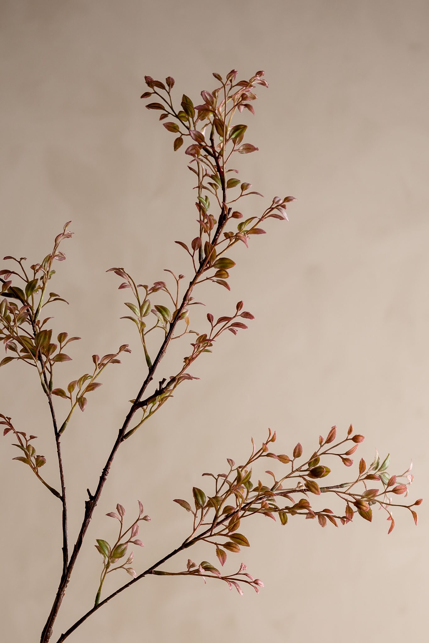 Konstgjord persika Ruscus 100cm
