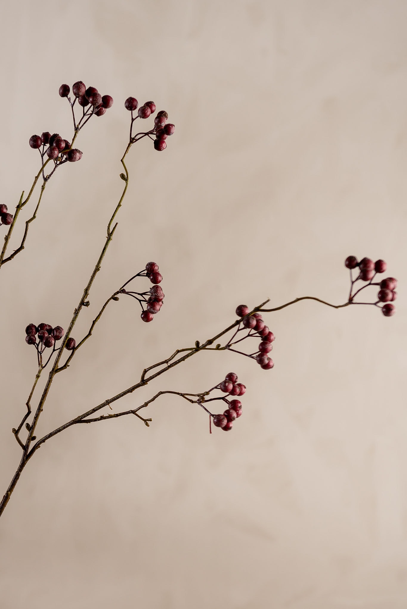 Konstgjord burgundy Bärkvist 100cm
