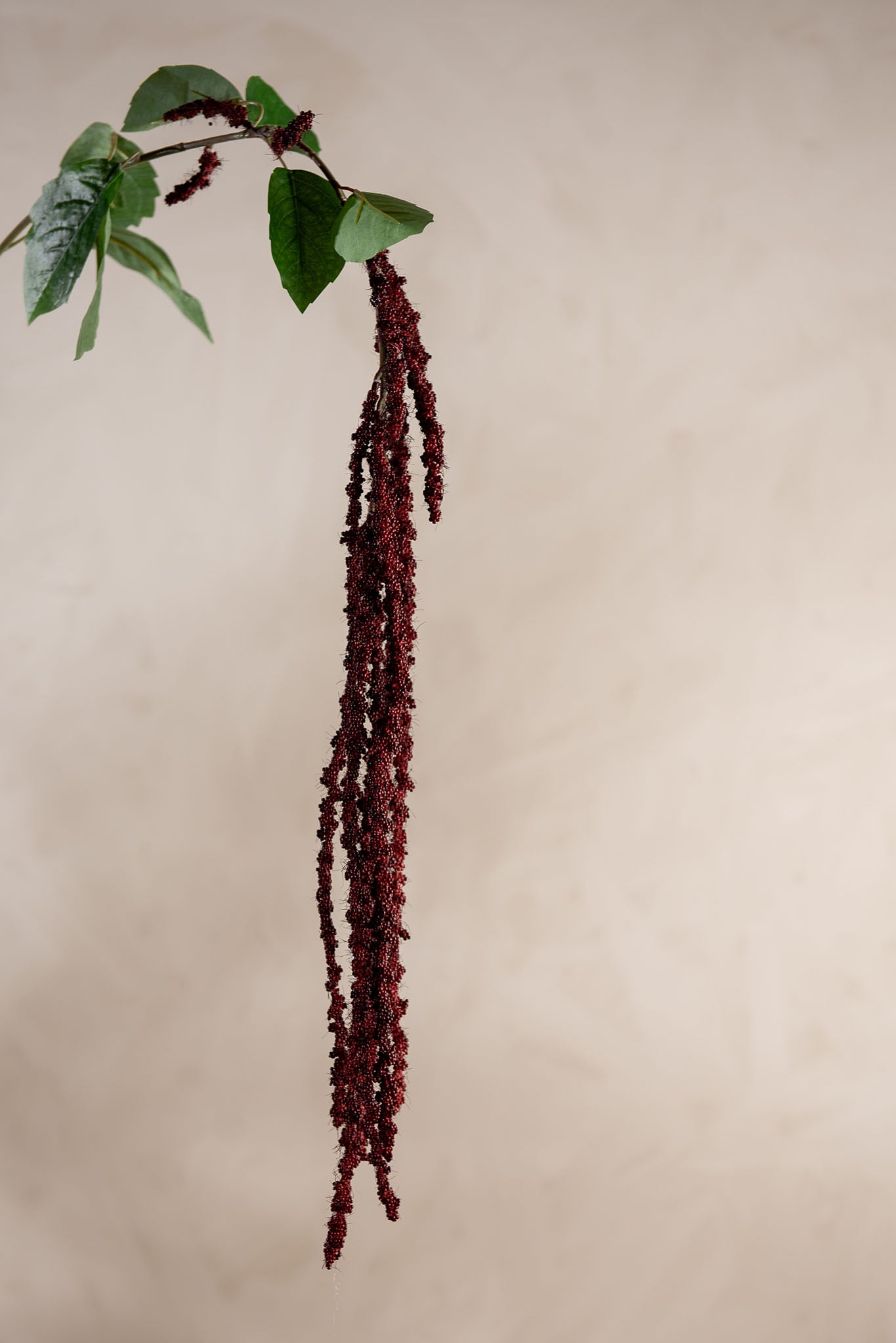 Konstgjord burgundy Amaranthus 105cm