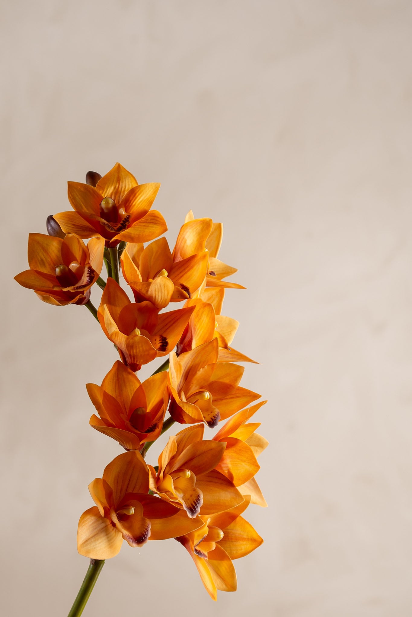 Konstgjord orange Cymbidium 65cm