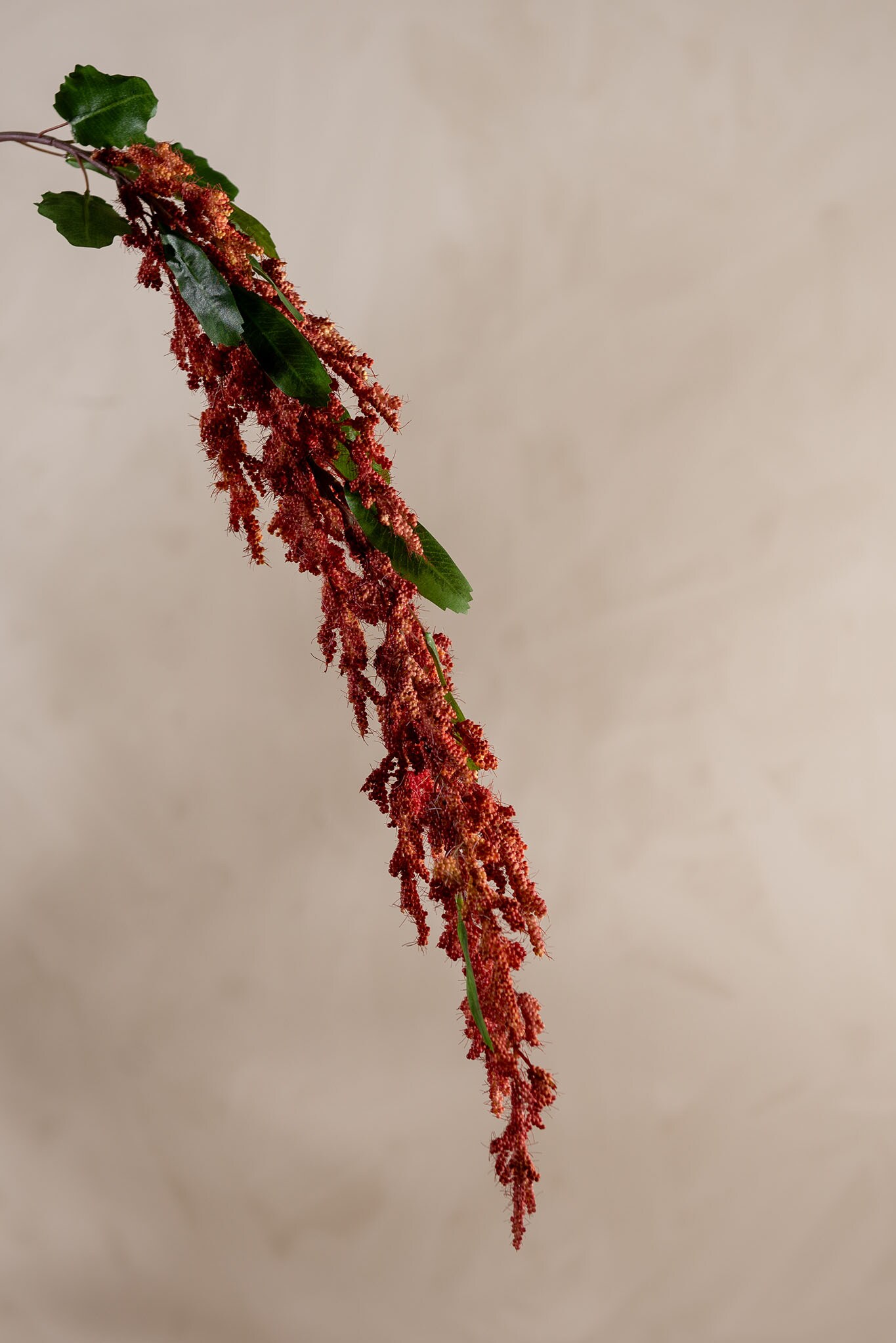 Konstgjord korall Amaranthus 95cm