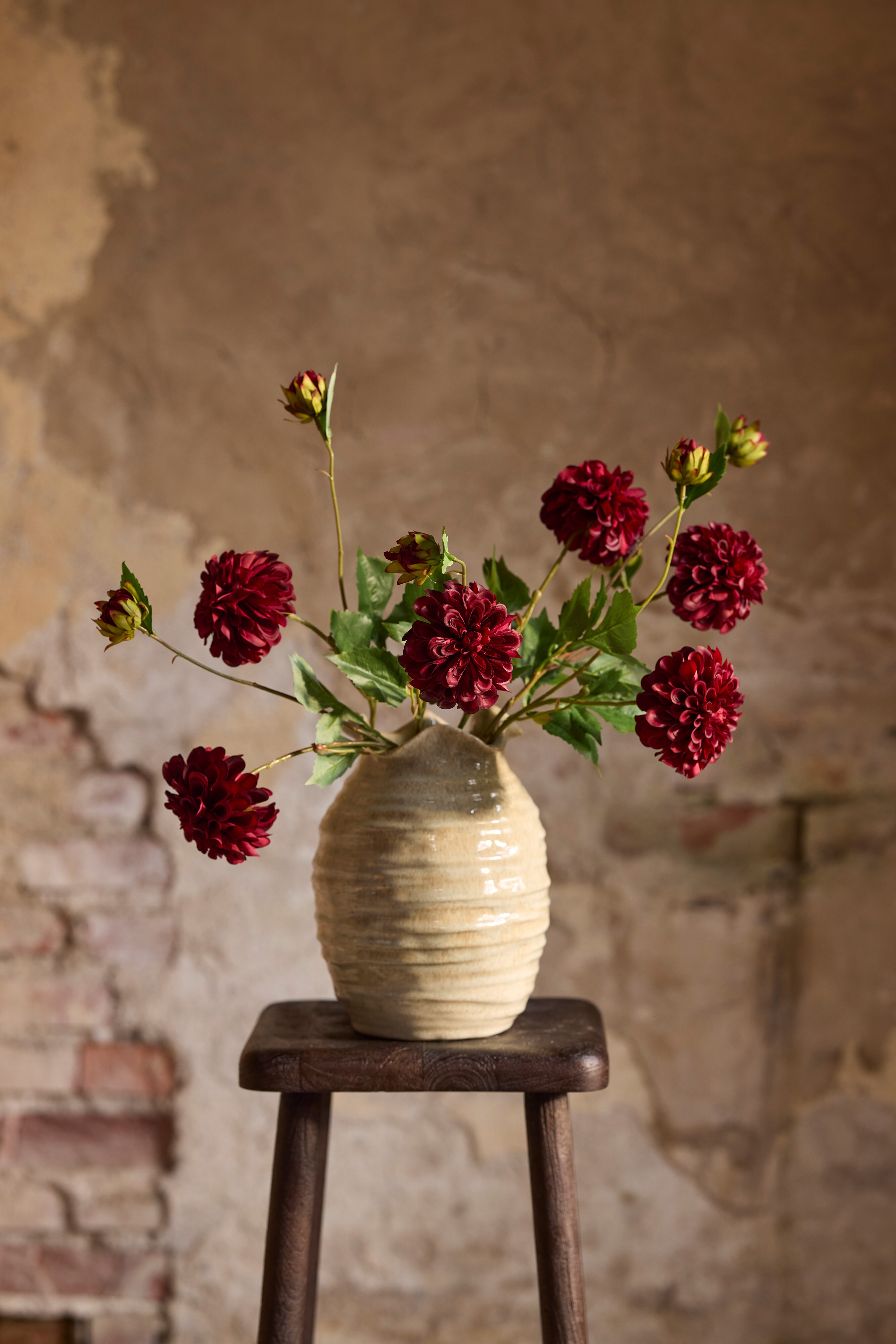 Dahlia