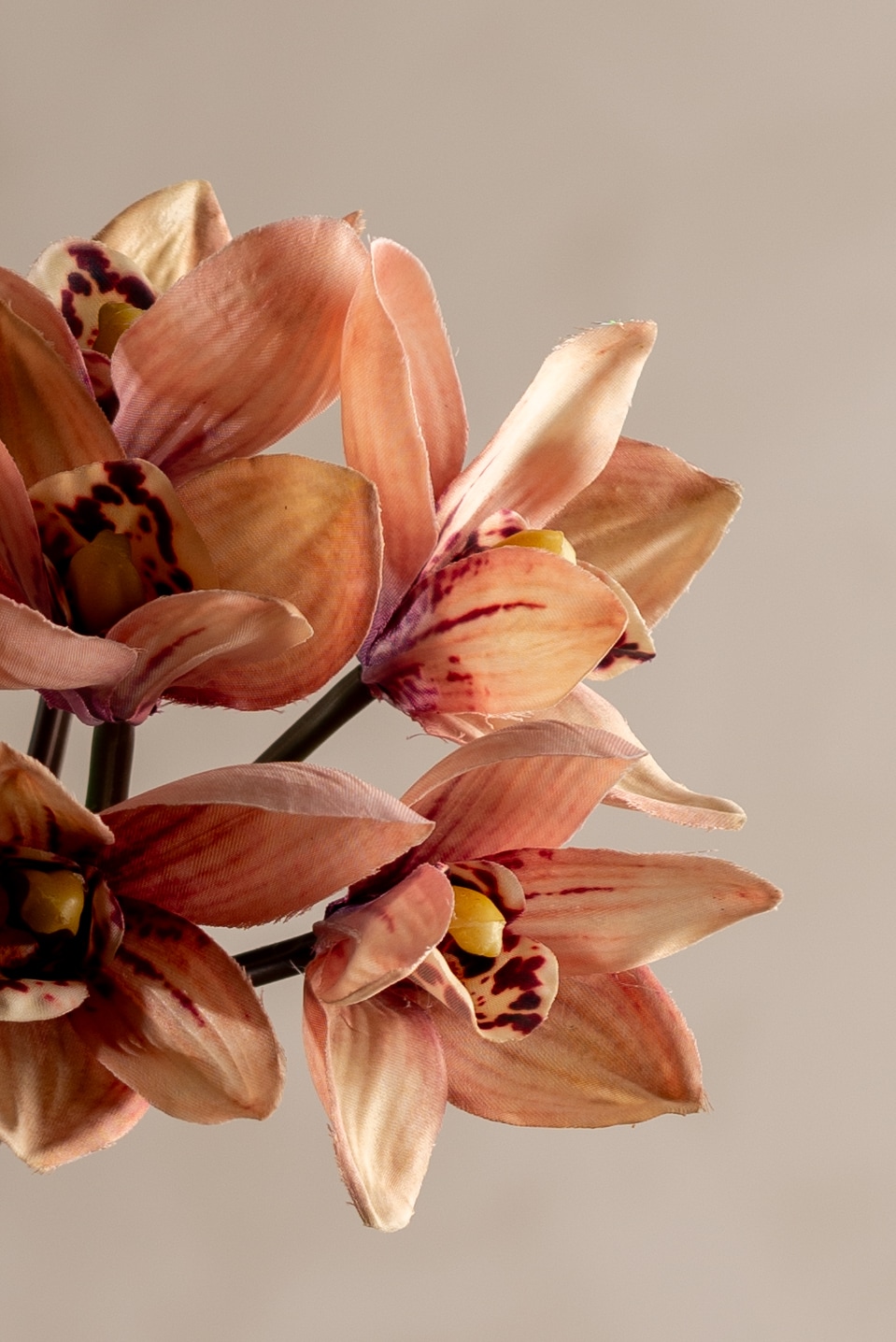 Konstgjord aprikos Cymbidium bunt 34cm