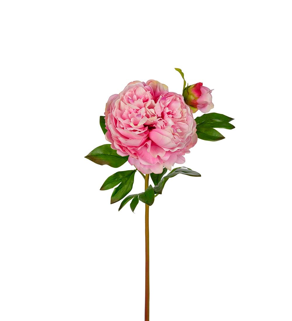 Pion