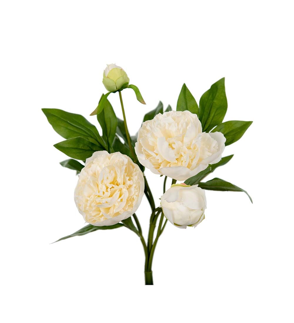 Pion