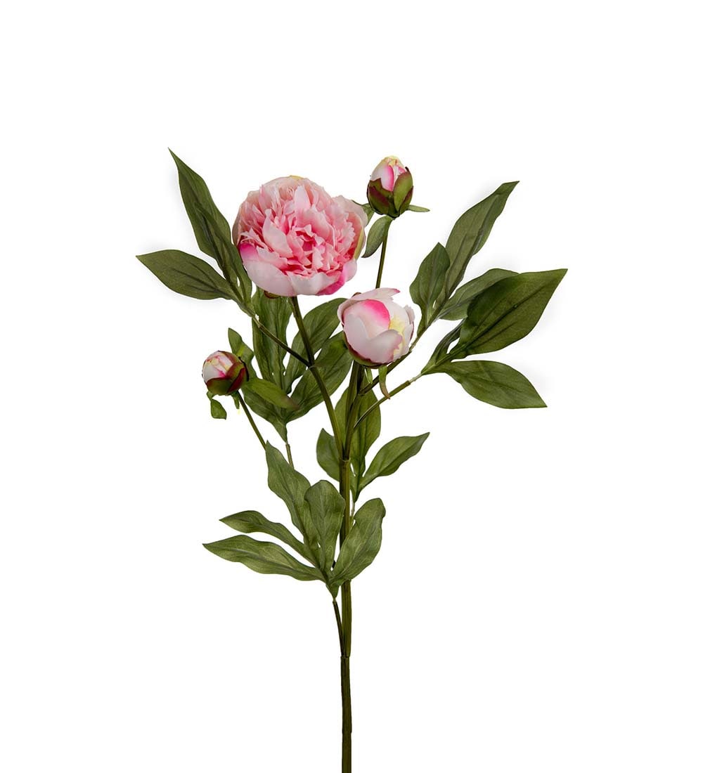Pion