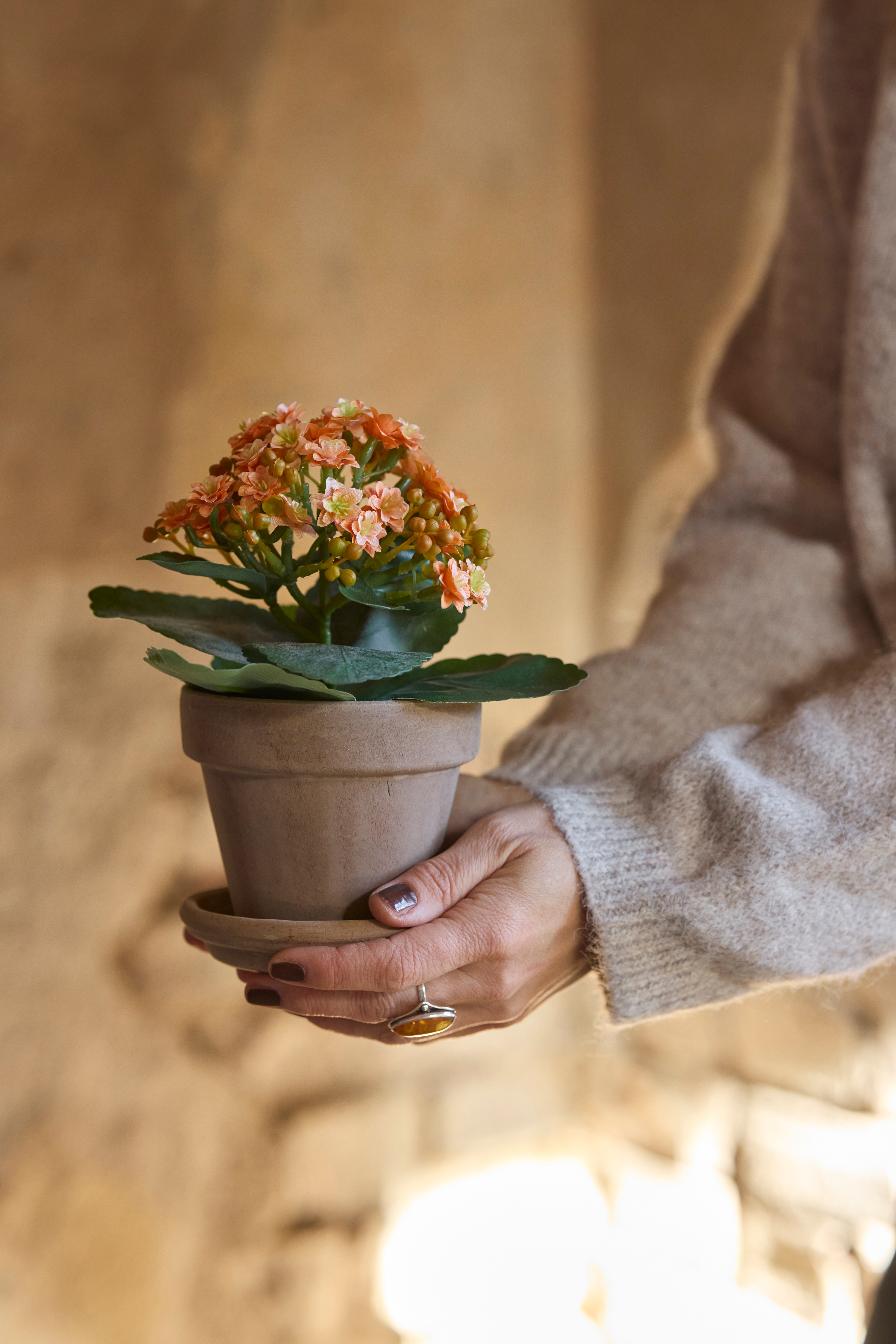 Konstgjord persika Kalanchoe 18cm