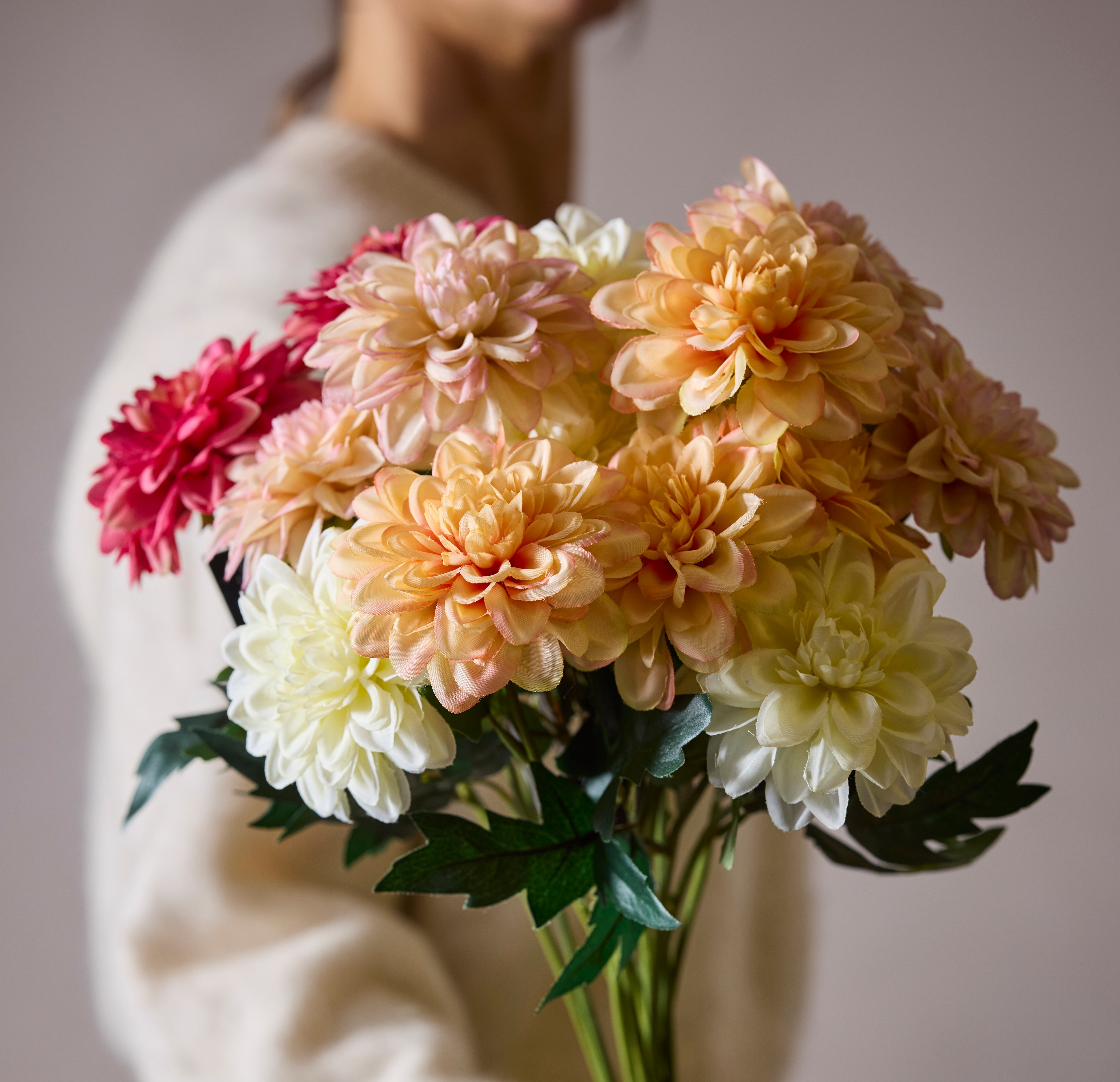 Zinnia 